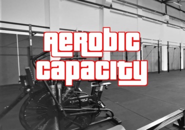 Aerobic capacity